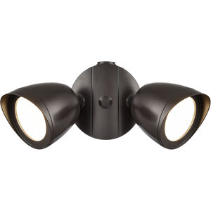 Twin Head Basic 2 Light 10.50 inch Outdoor Wall Light